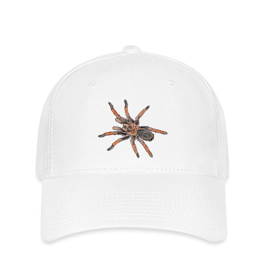 Flexfit Cap Brachypelma emilia - weiß