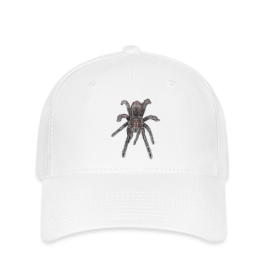 Flexfit Cap Pamphobeteus sp Machala juvenile - weiß