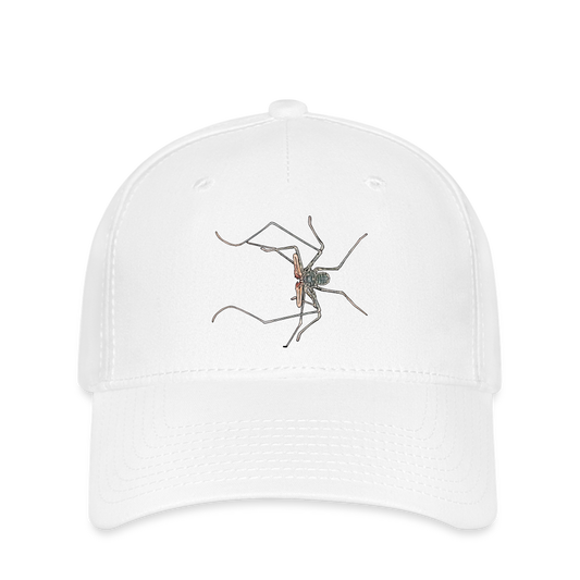 Flexfit Cap Euphrynichus bacillifer - weiß