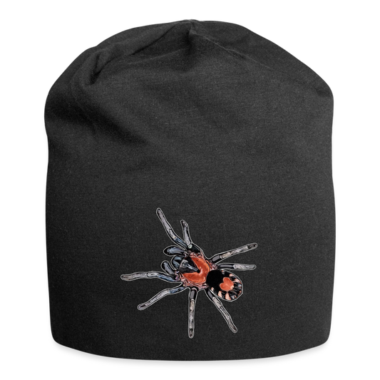 Jersey-Beanie Cyriocosmus elegans - Schwarz