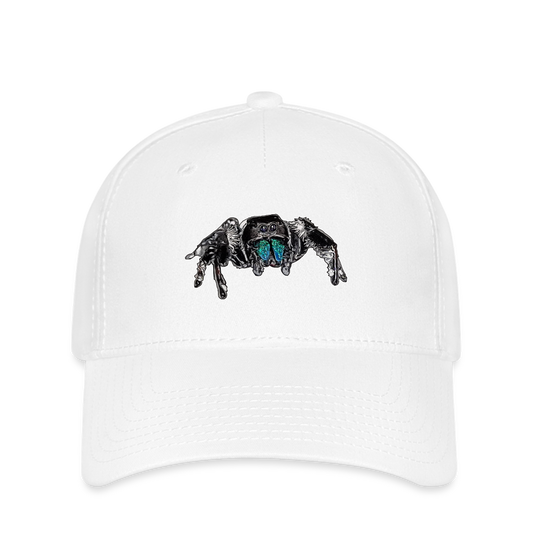 Flexfit Cap Phidippus regius Everglades male - weiß