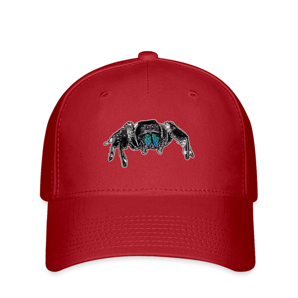 Flexfit Cap Phidippus regius Everglades male - Rot