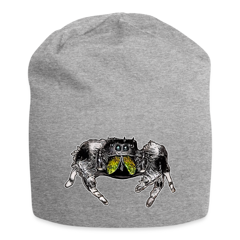 Jersey-Beanie Phidippus regius Rastafari male - Grau meliert