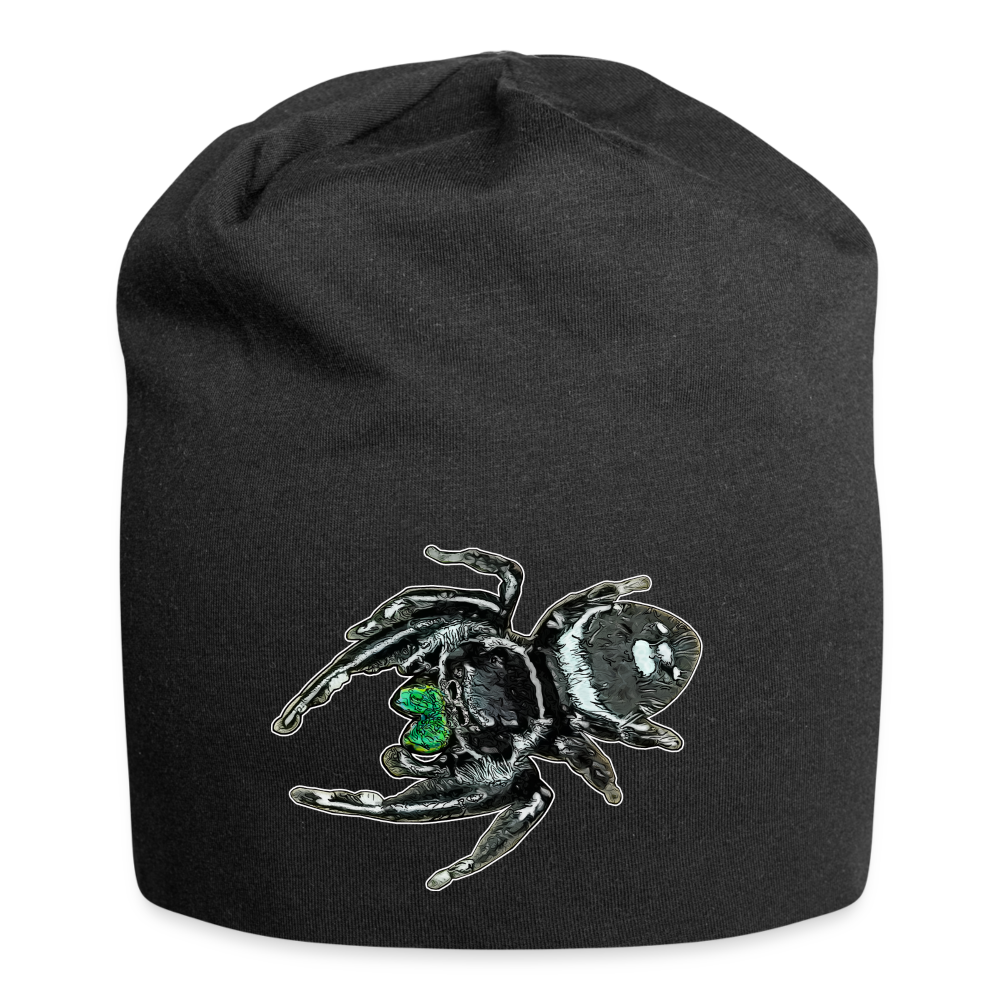 Jersey-Beanie Phidippus regius White Bahamas male - Schwarz