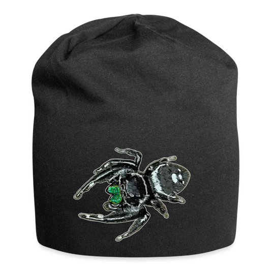 Jersey-Beanie Phidippus regius White Bahamas male - Schwarz