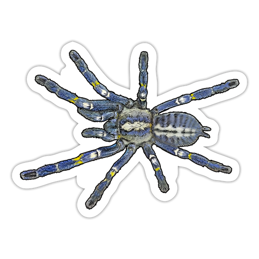 Sticker Poecilotheria metallica - Mattweiß