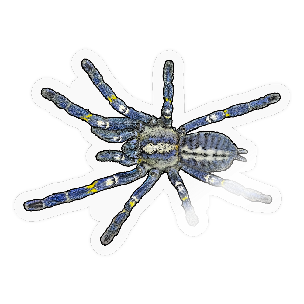 Sticker Poecilotheria metallica - Transparent glänzend