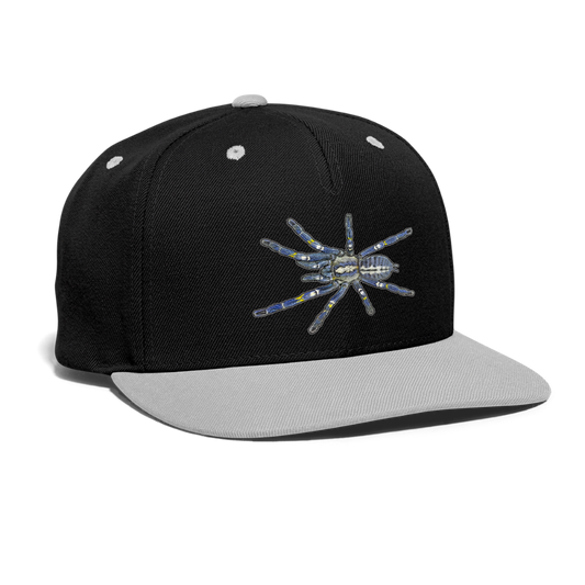 Cappy Kontrast Snapback Poecilotheria metallica - Schwarz/Grau