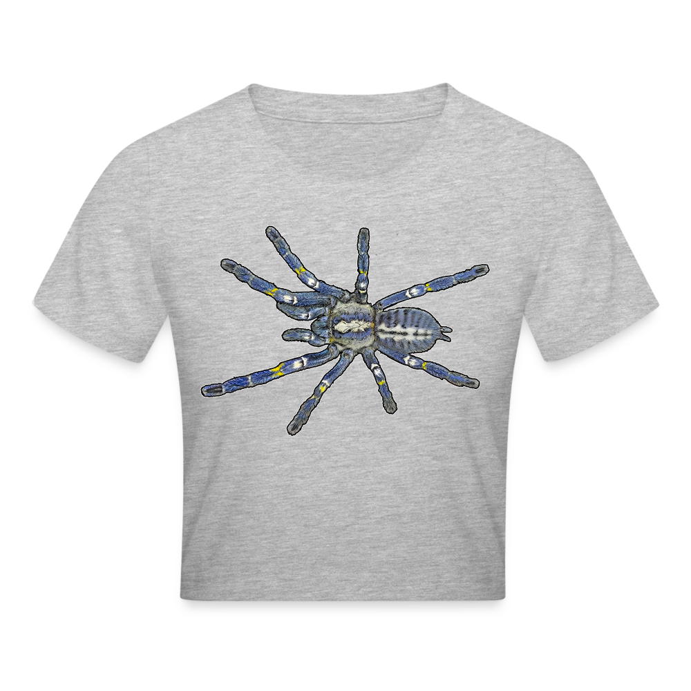 Crop T-Shirt Poecilotheria metallica - Grau meliert
