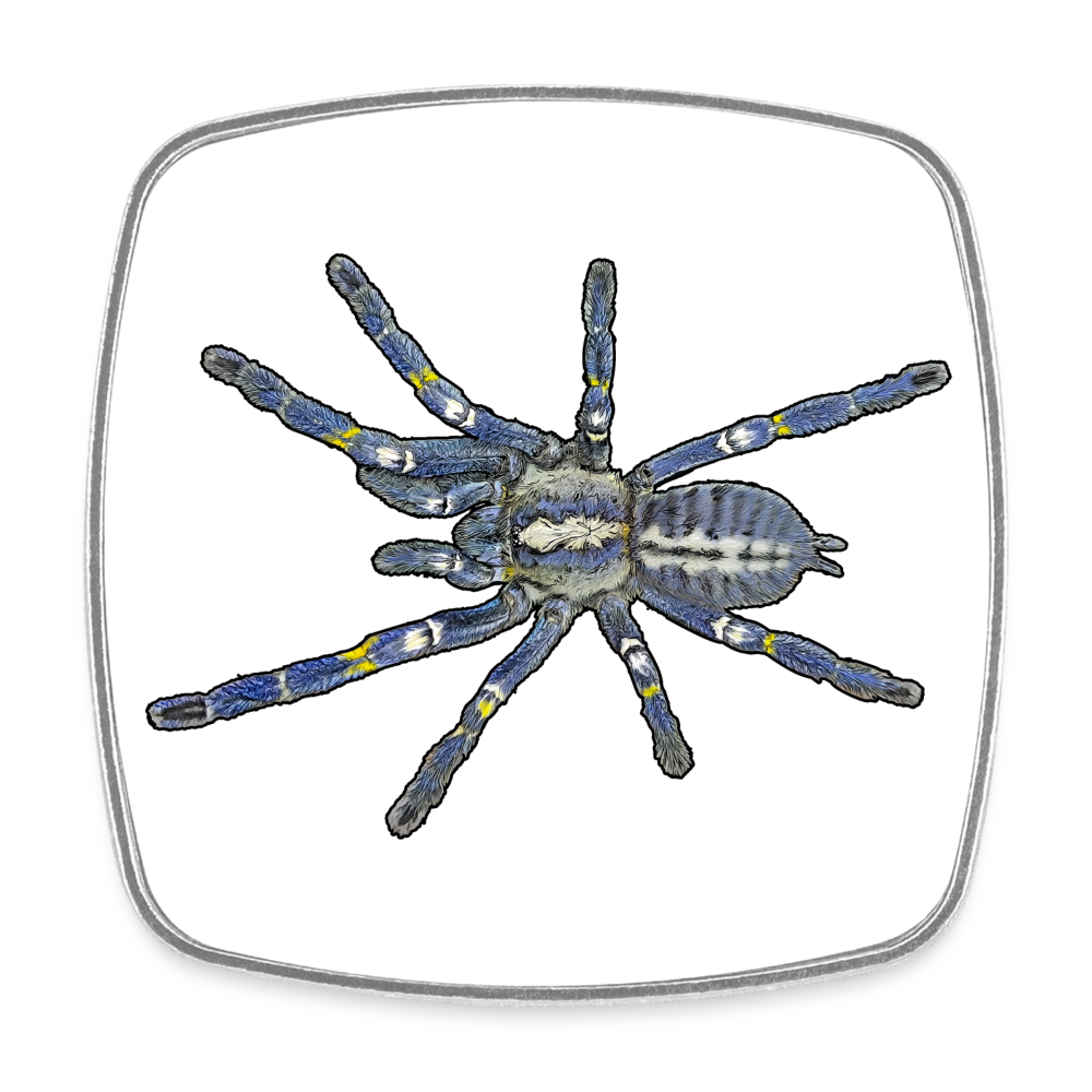 Kühlschrankmagnet eckig Poecilotheria metallica - weiß