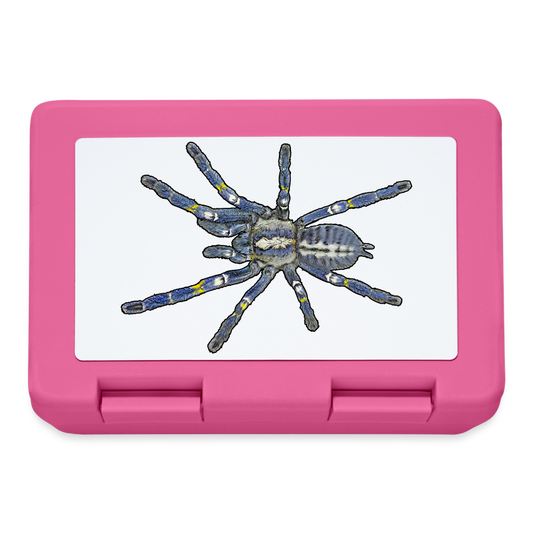 Lunchbox Poecilotheria metallica - Pink