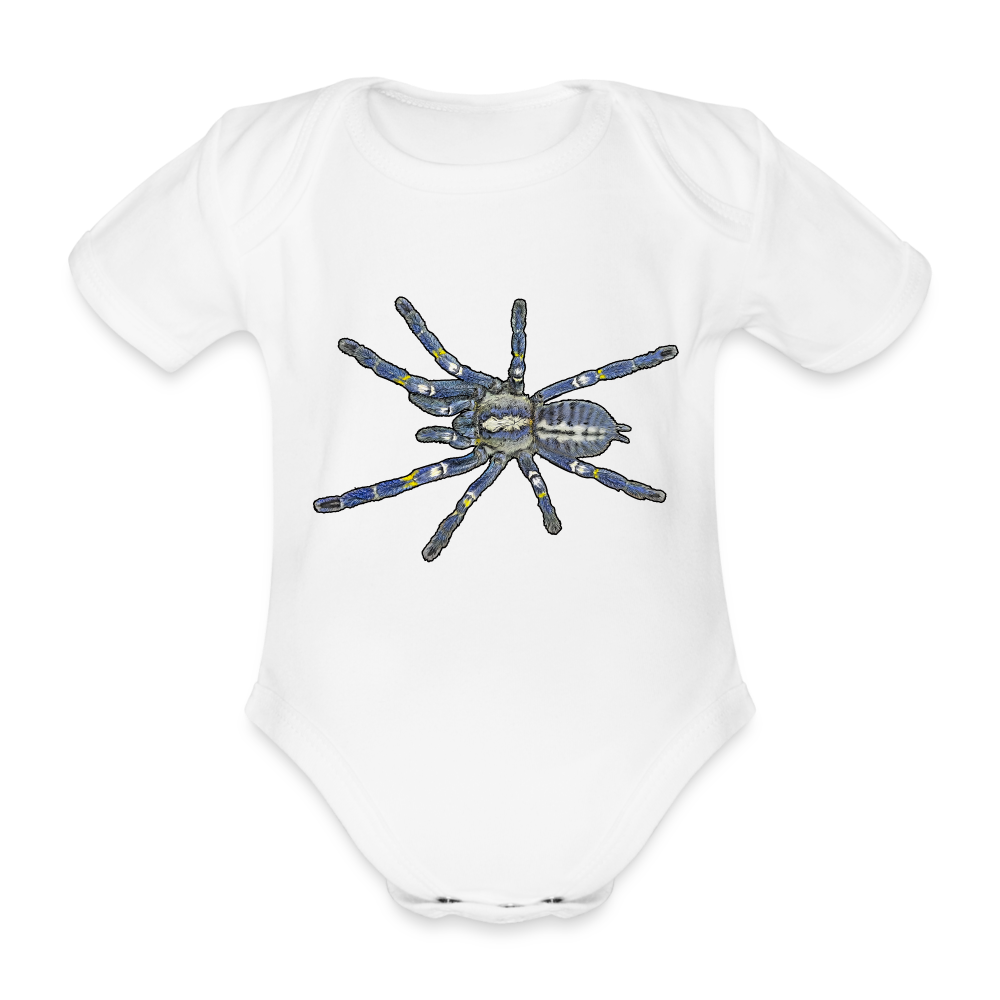Baby Bio Body kurz Poecilotheria metallica - weiß