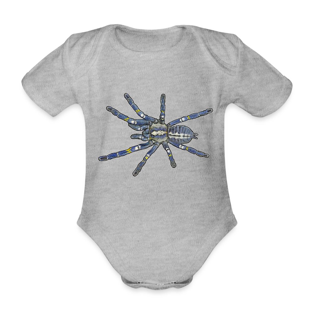 Baby Bio Body kurz Poecilotheria metallica - Grau meliert