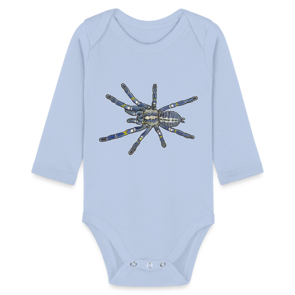 Baby Bio Body lang Poecilotheria metallica - Sky