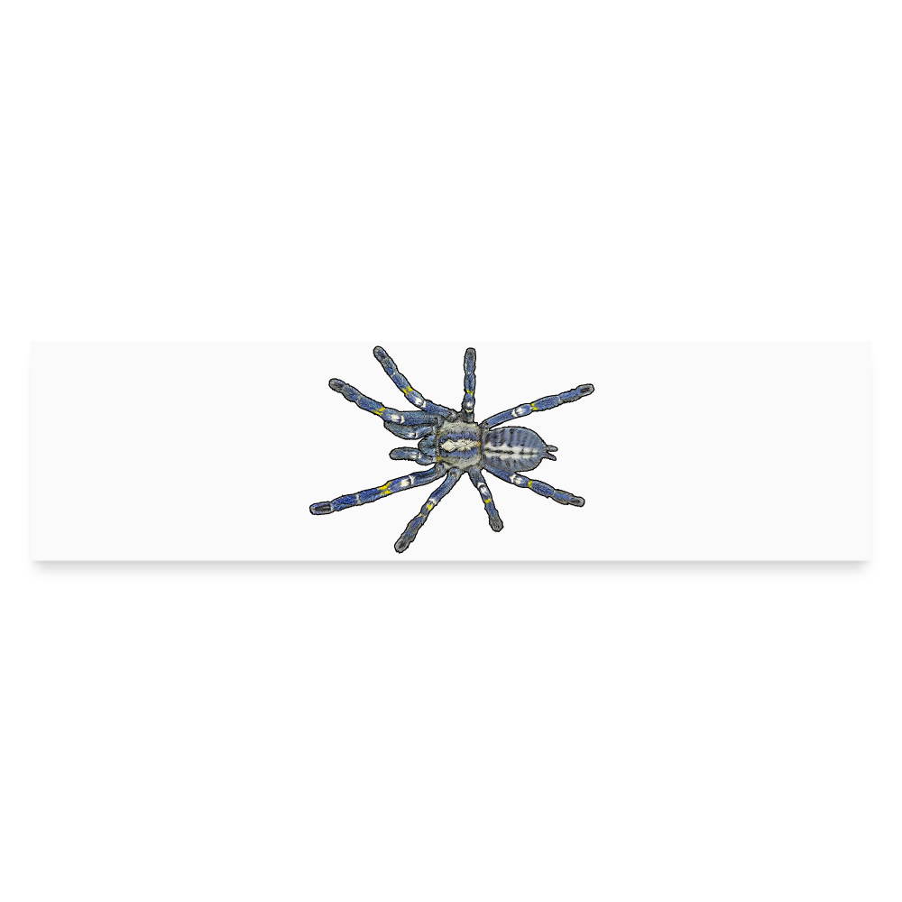Auto-Aufkleber Poecilotheria metallica - Mattweiß