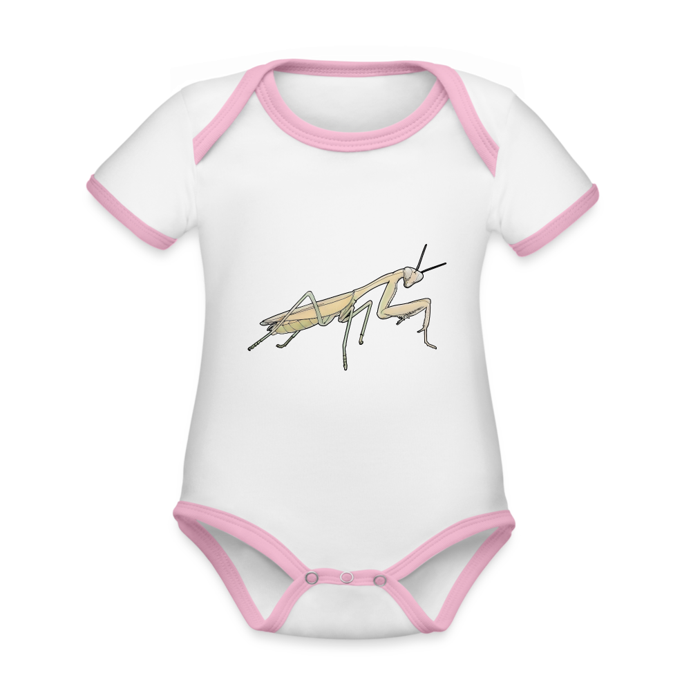 Baby Bio Kontrastbody Hierodula membranacea female - Weiß/Rose