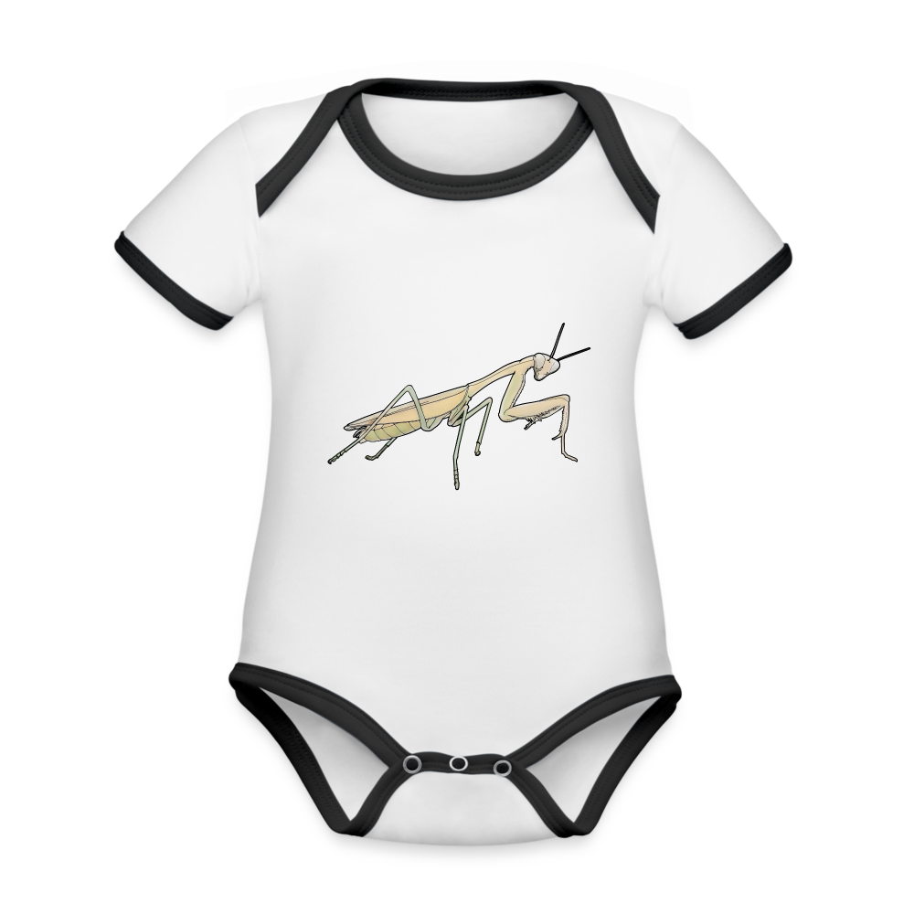 Baby Bio Kontrastbody Hierodula membranacea female - Weiß/Schwarz