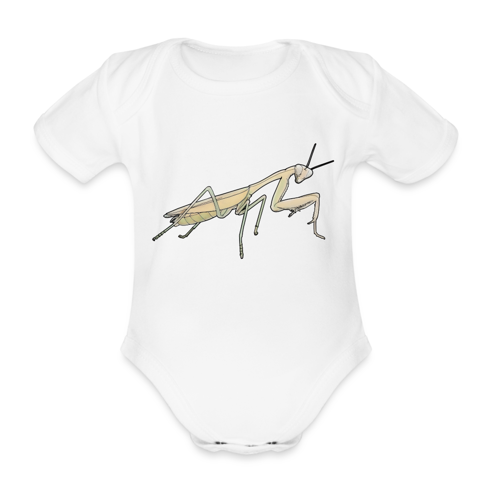 Baby Bio Body kurz Hierodula membranacea female - weiß