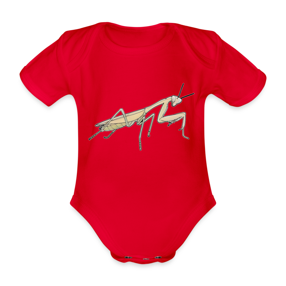 Baby Bio Body kurz Hierodula membranacea female - Rot
