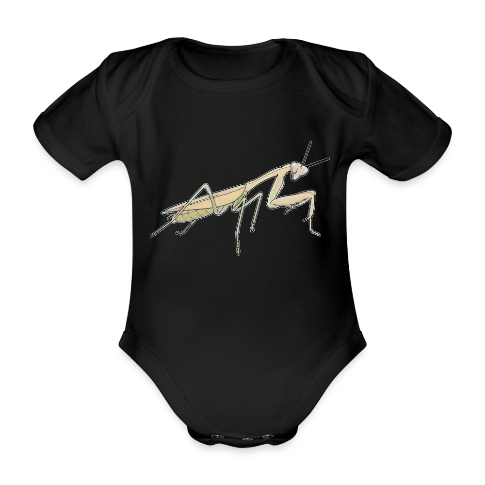 Baby Bio Body kurz Hierodula membranacea female - Schwarz