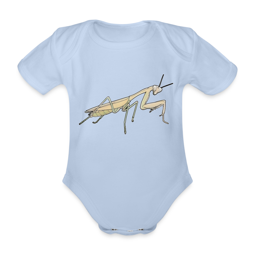 Baby Bio Body kurz Hierodula membranacea female - Sky