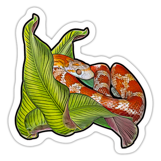 Sticker Pantherophis guttatus Lava - Mattweiß