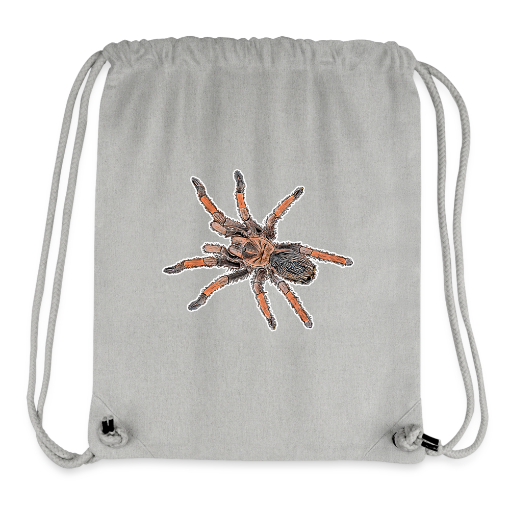 Gym Bag Stanley & Stella Brachypelma emilia - Grau meliert