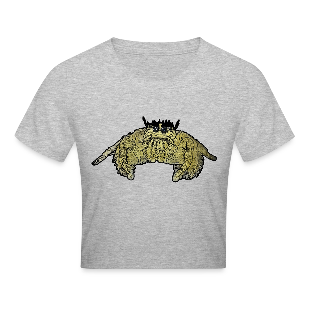 Crop T-Shirt Hyllus diardi - Grau meliert