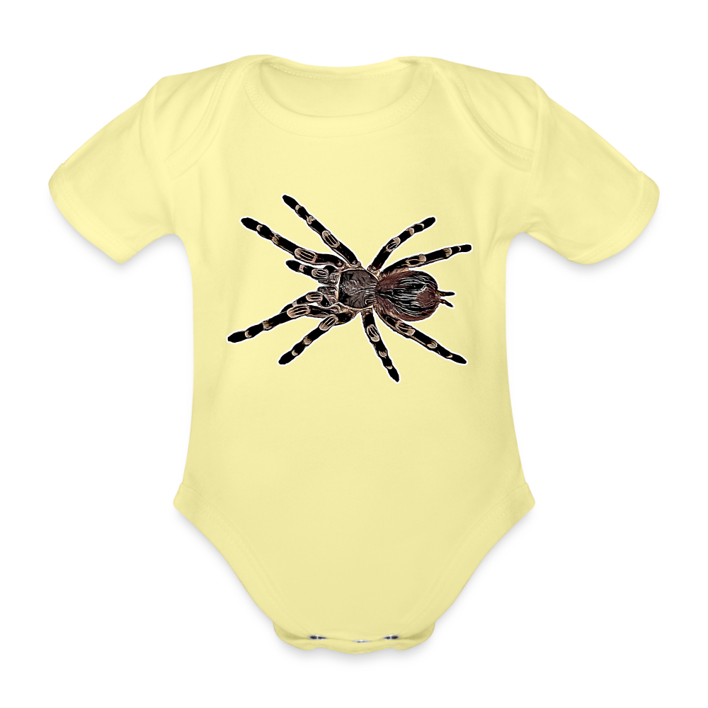 Baby Body kurz Acanthoscurria geniculata - washed yellow