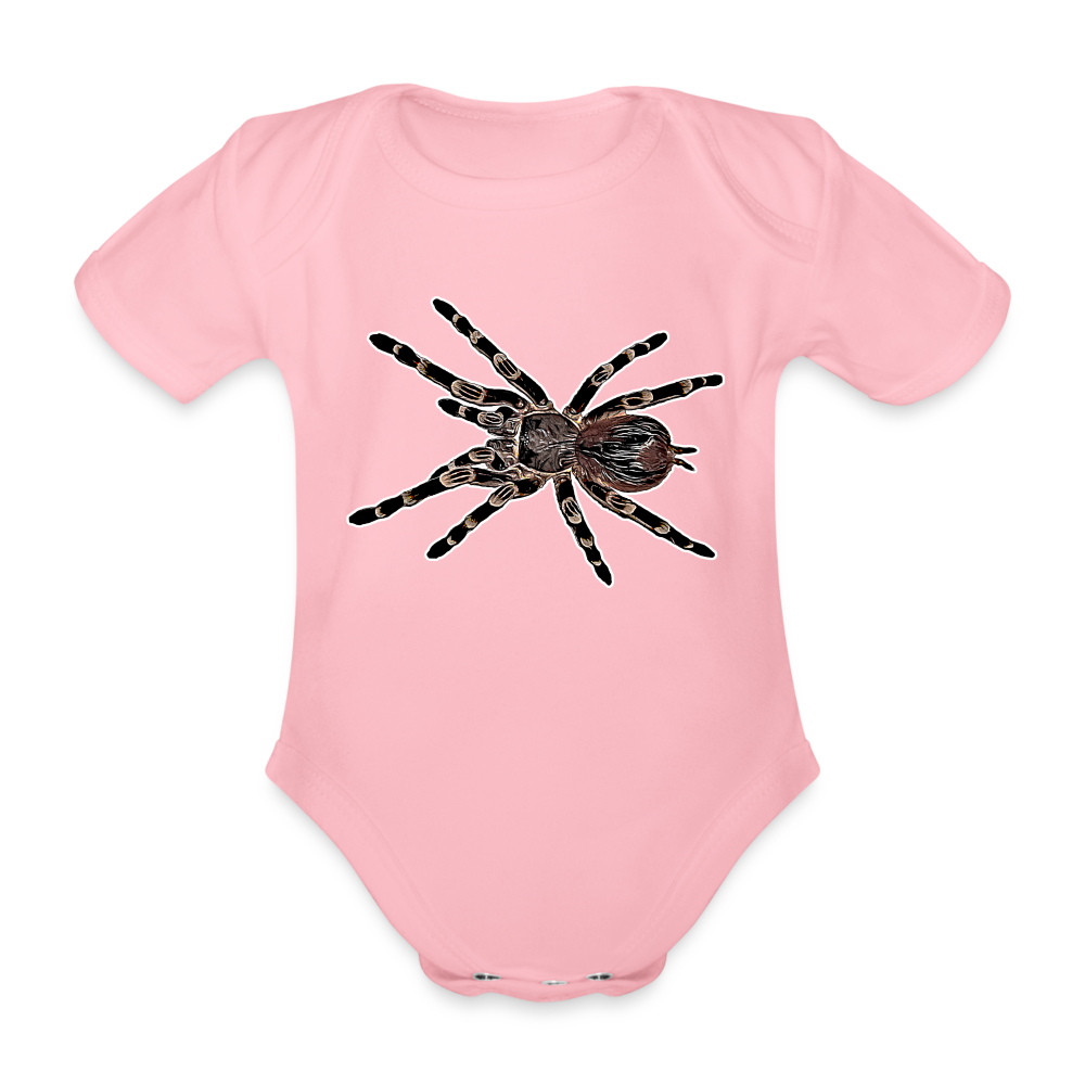 Baby Body kurz Acanthoscurria geniculata - light pink