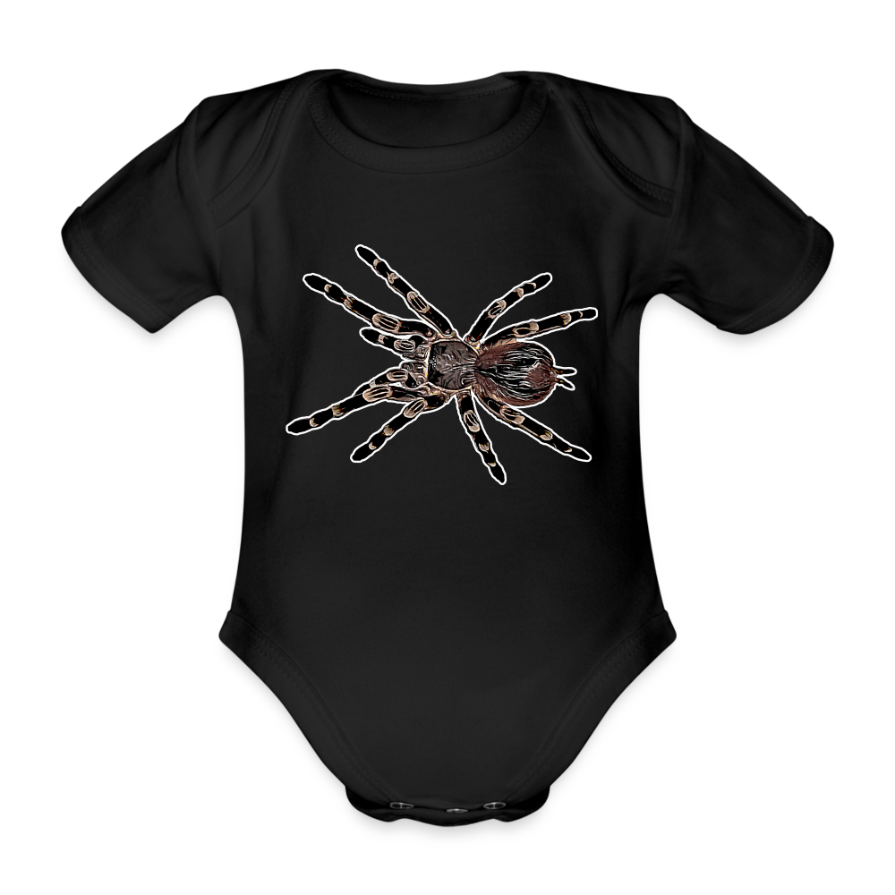 Baby Body kurz Acanthoscurria geniculata - black