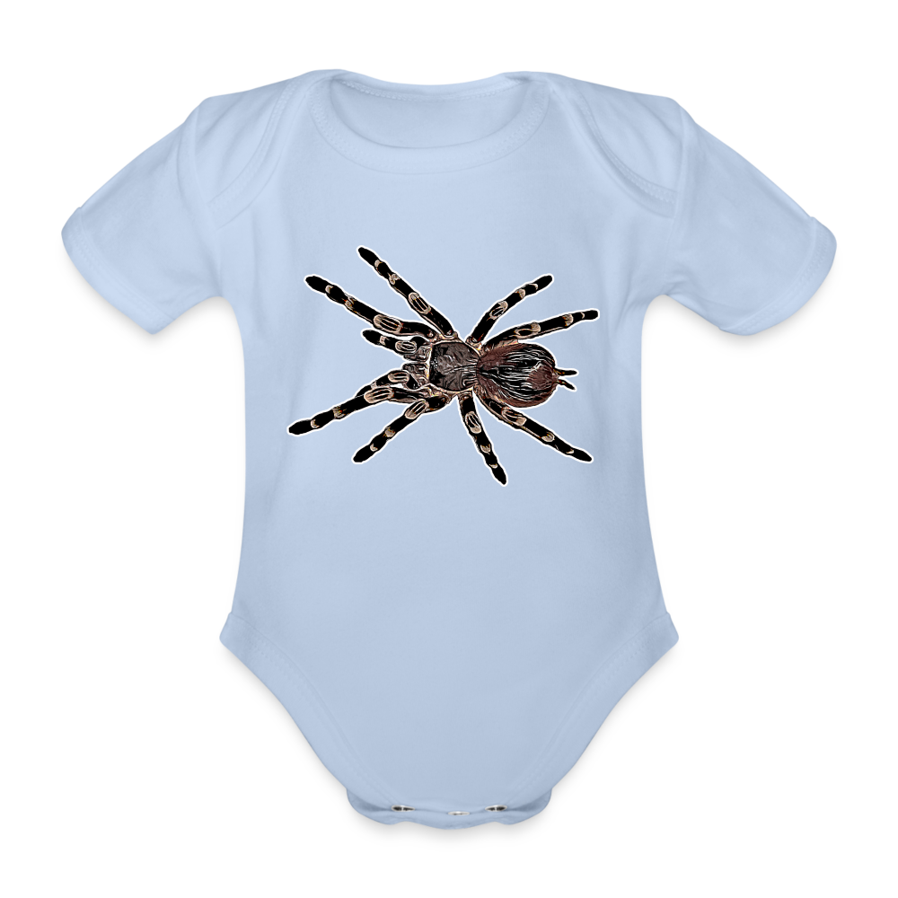 Baby Body kurz Acanthoscurria geniculata - sky