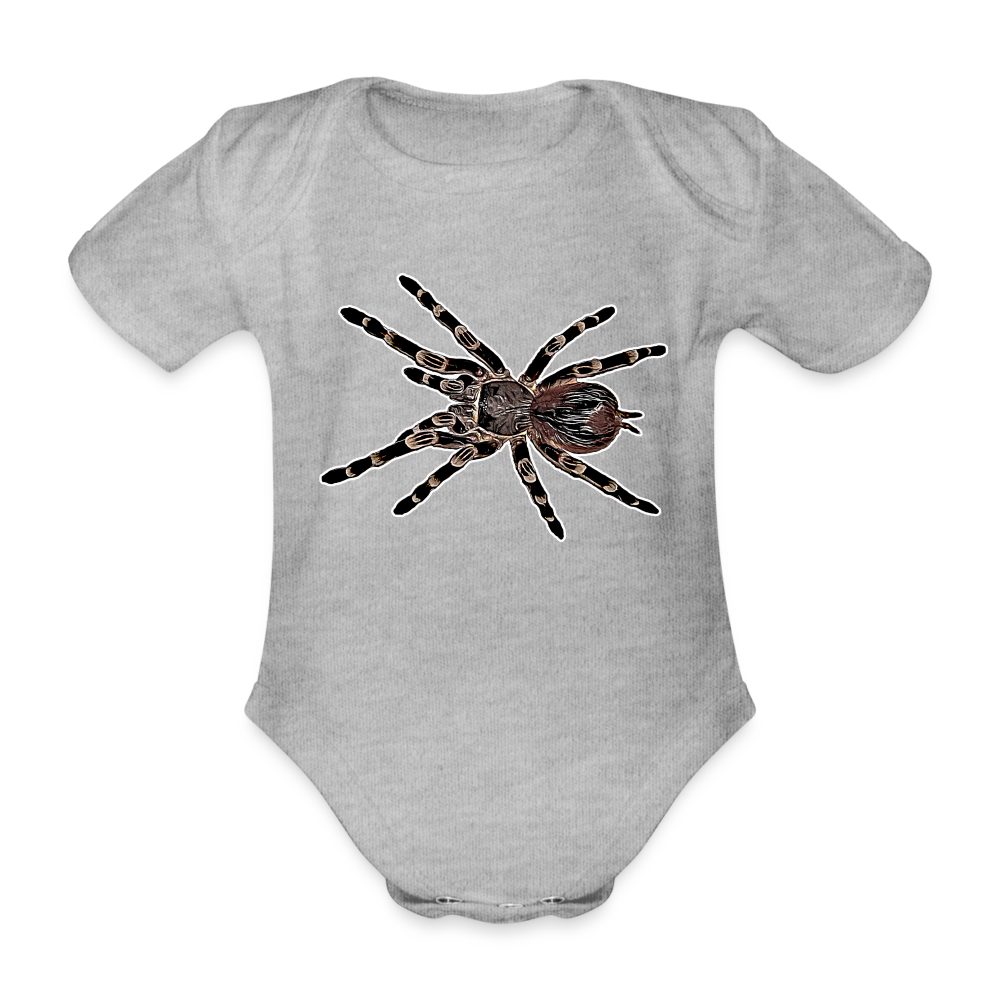 Baby Body kurz Acanthoscurria geniculata - heather grey
