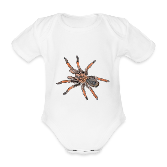 Baby Body kurz Brachypelma emilia - white