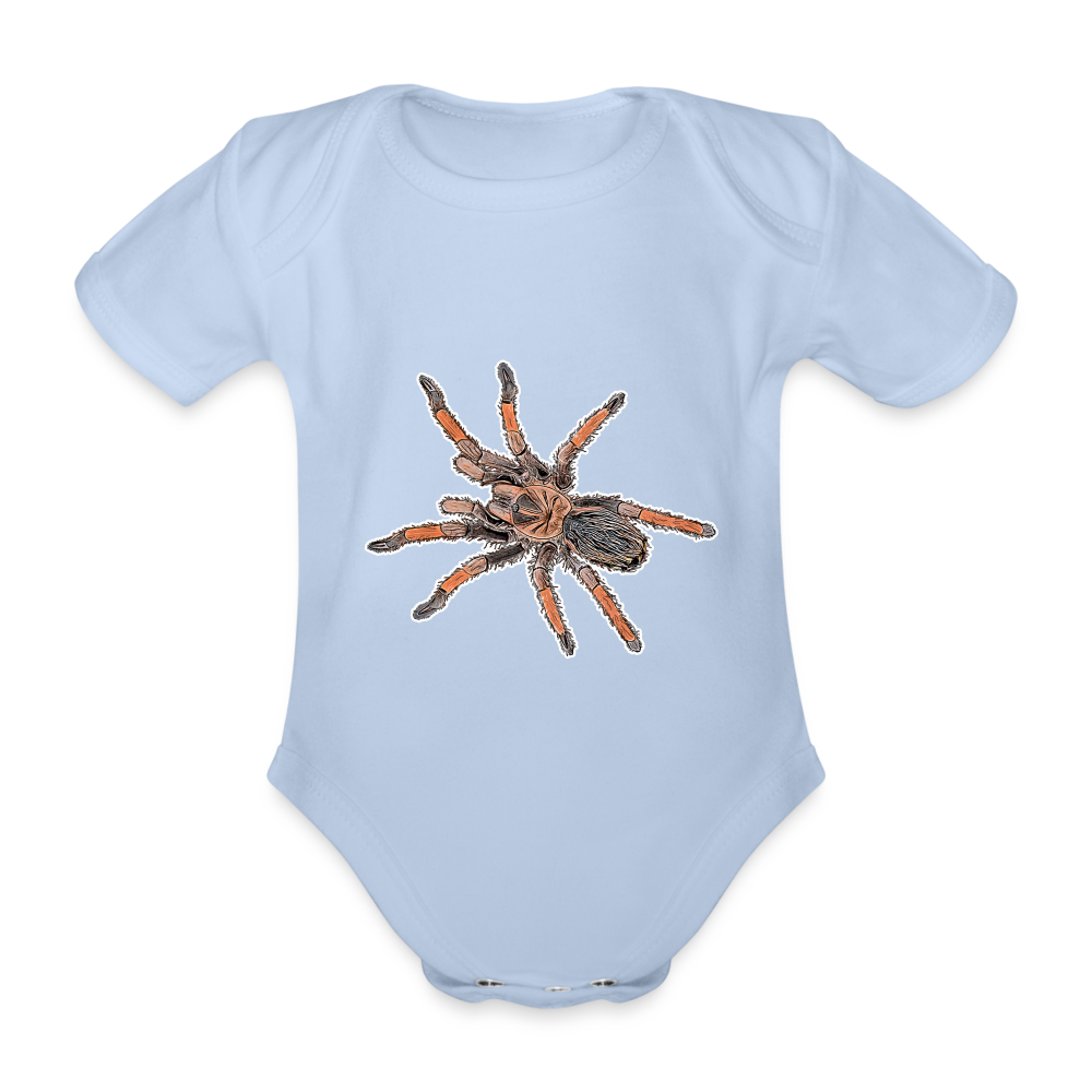 Baby Body kurz Brachypelma emilia - sky