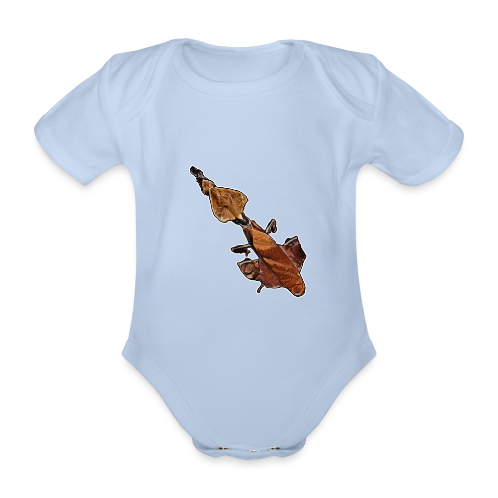 Baby Body kurz Phyllocrania paradoxa female - sky