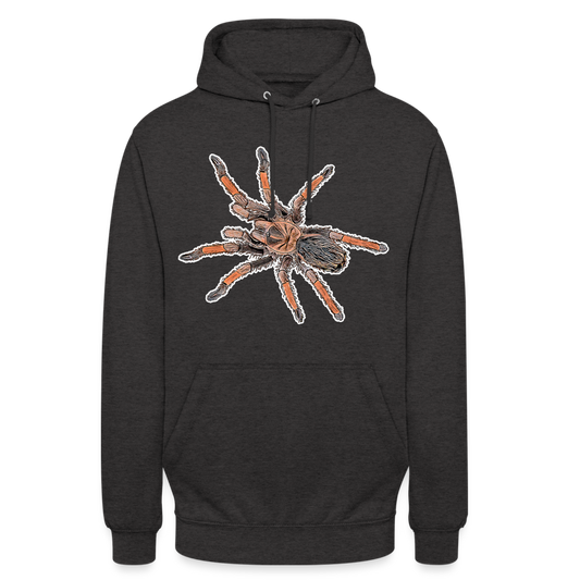 Unisex Hoodie Brachypelma emilia - charcoal grey