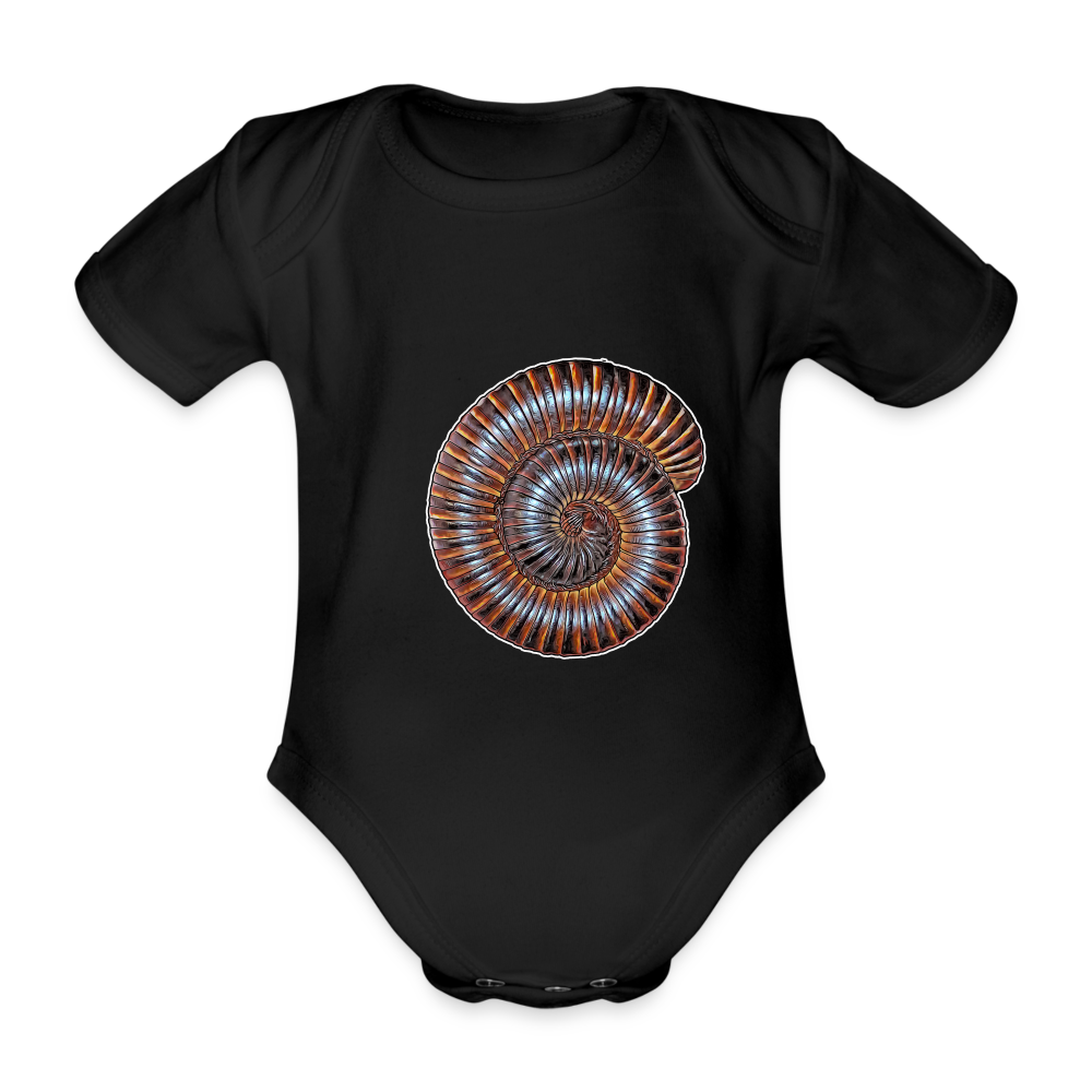 Baby Body kurz Archispirostreptus gigas - black