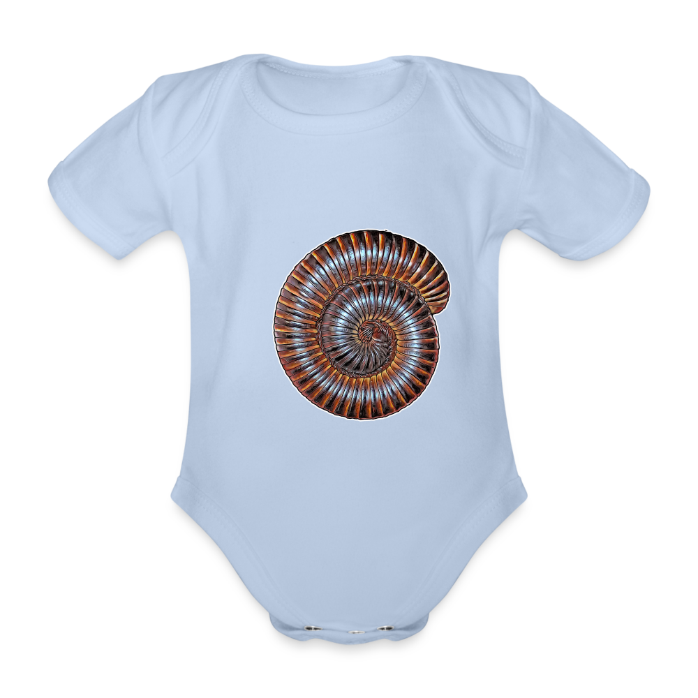 Baby Body kurz Archispirostreptus gigas - sky