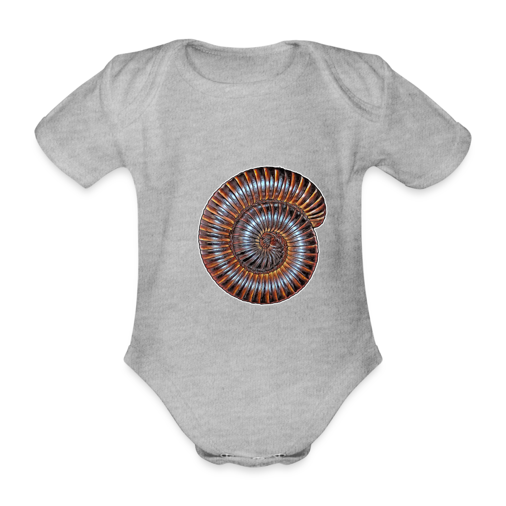 Baby Body kurz Archispirostreptus gigas - heather grey