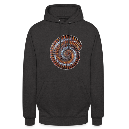 Unisex Hoodie Archispirostreptus gigas - charcoal grey