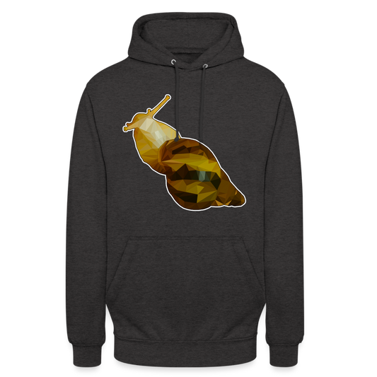 Unisex Hoodie Achatina reticulata Low Poly - charcoal grey