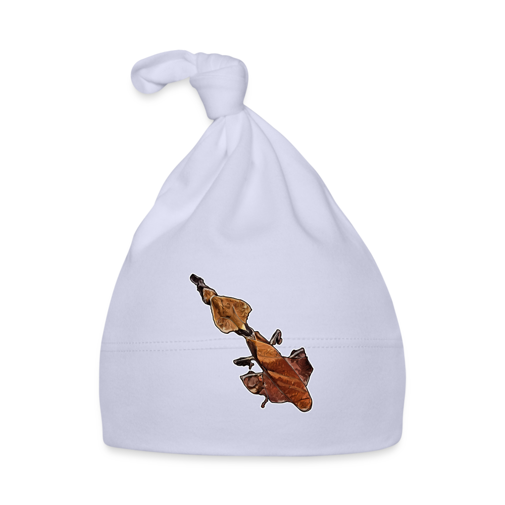 Baby Mützchen Phyllocrania paradoxa female - sky