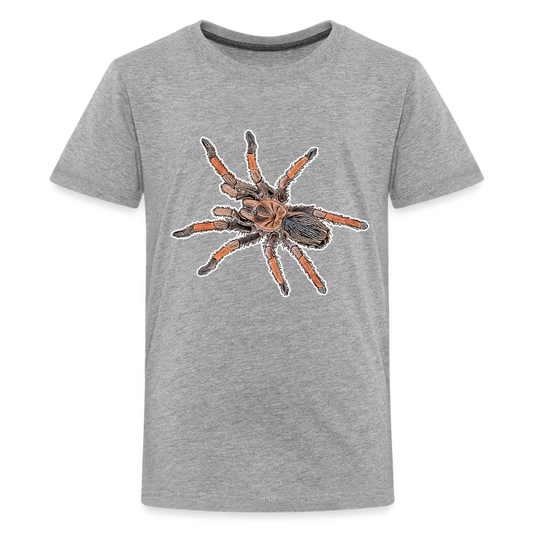 Teenager Basic T-Shirt Brachypelma emilia - Grau meliert