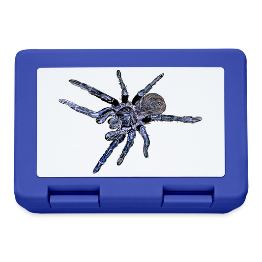 Luchbox Pterinopelma sazimai - Royalblau