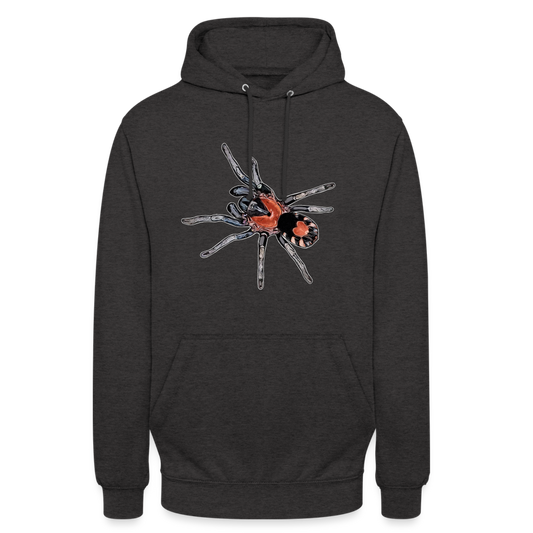 Unisex Hoodie Cyriocosmus elegans - Anthrazit