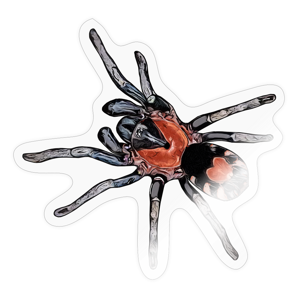 Sticker Cyriocosmus elegans - Transparent glänzend