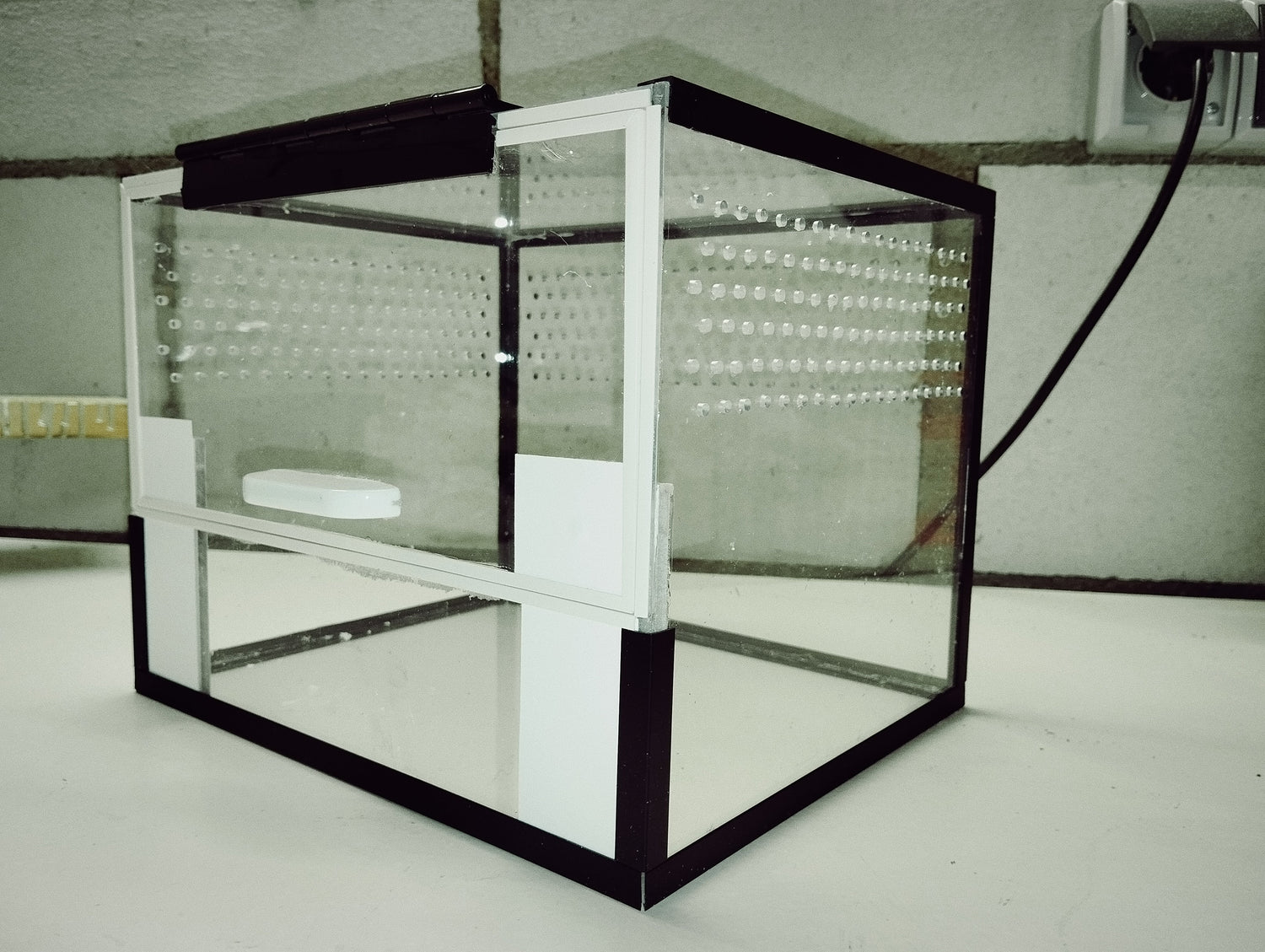 Terrarien für Bodenbewohner