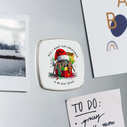 Kühlschrankmagnet Weihnachtsgeschenk Springspinne All I want for Christmas - Weiß