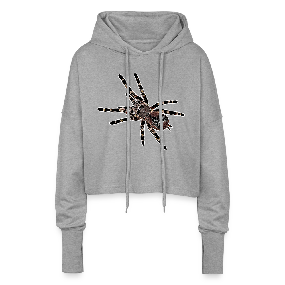 Frauen Cropped Hoodie Acanthoscurria geniculata - Grau meliert
